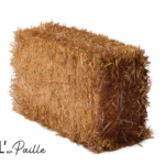 Photo de l'entreprise Isol'en paille