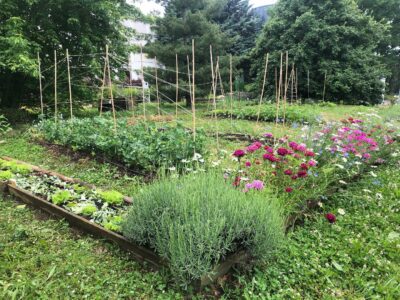 Photo de l'entreprise Rendez-Vous au Potager, potager en entreprise