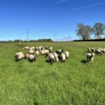 Photo de l'entreprise La Ferme Des Puits