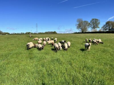 Photo de l'entreprise La Ferme Des Puits