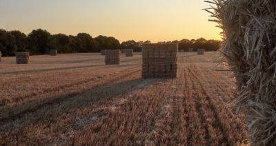 Photo de l'entreprise PROFIBRES
