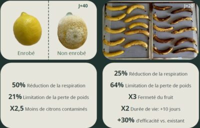 Photo de l'entreprise Proteme