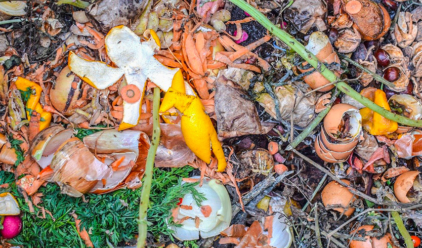 Photo of a compost bin