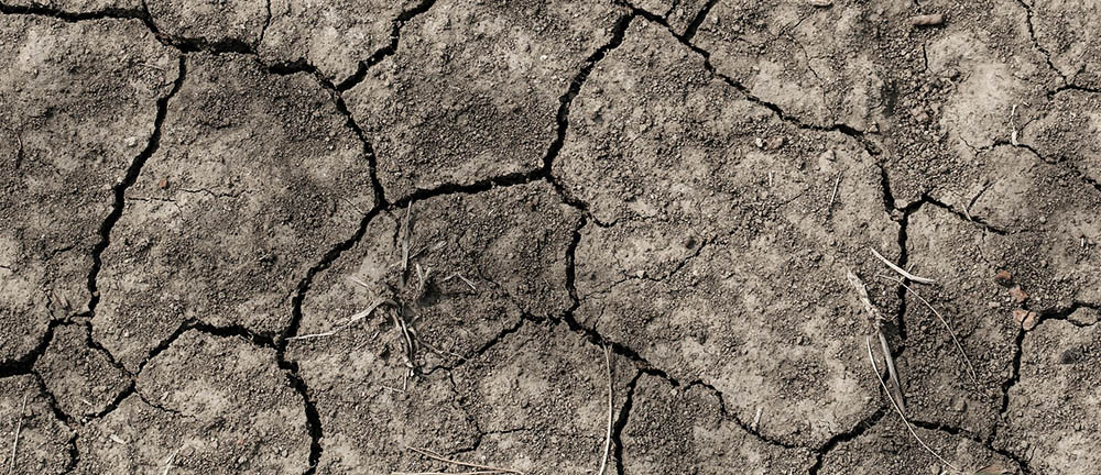 Photo de la terre qui craque sous la sécheresse