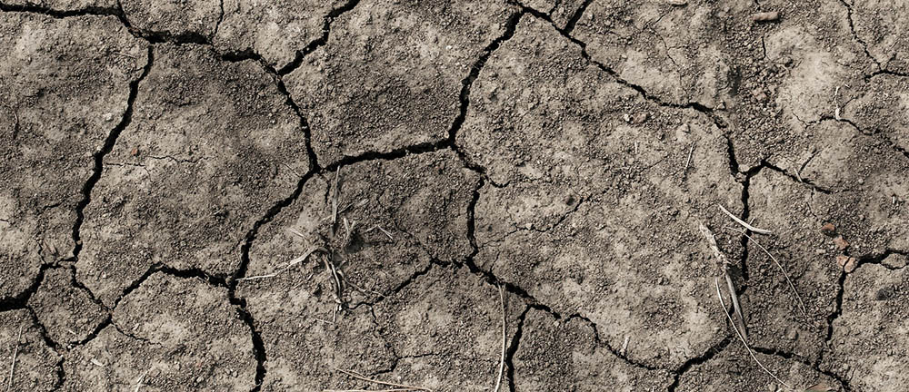 Photo of the earth cracking under the drought