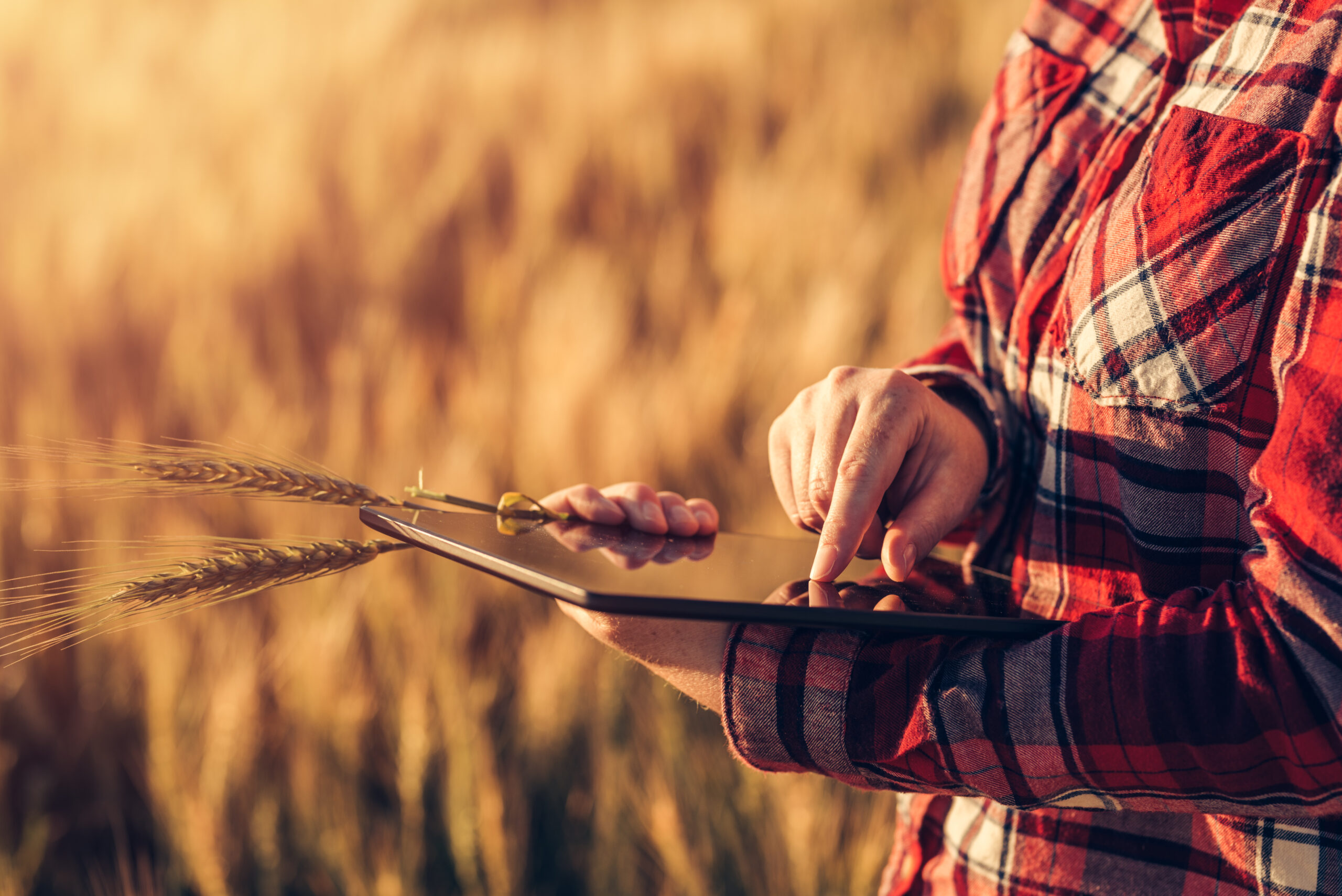 Photo d'un champs et d'un agriculteur connecté