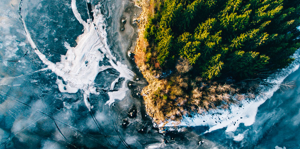 Aerial photo of a forest