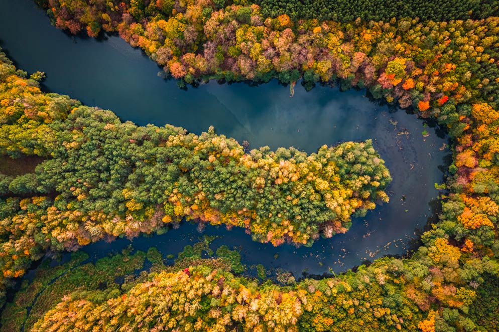 Photo aérienne d'une forêt pour illustrer l'acccor 30x30 de la COP15