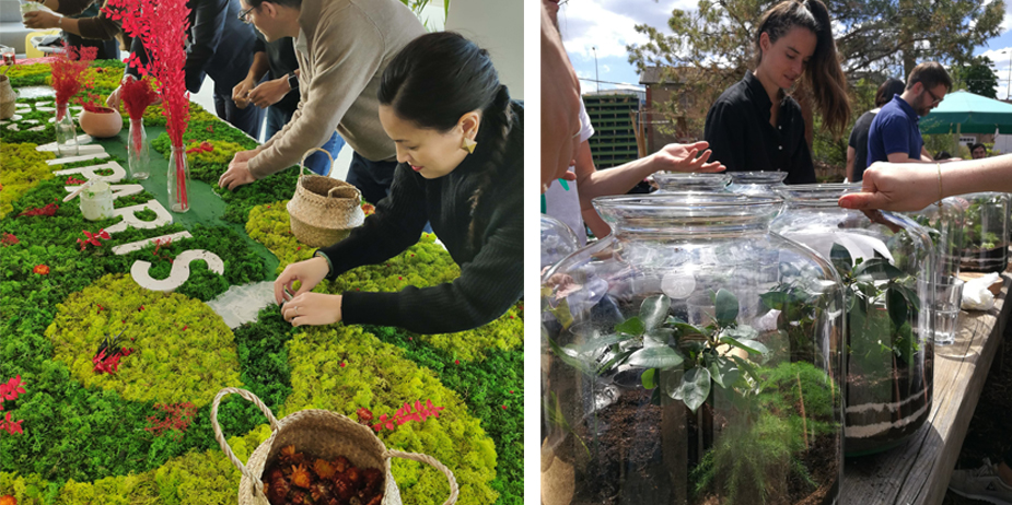 photo-ateliers-platan