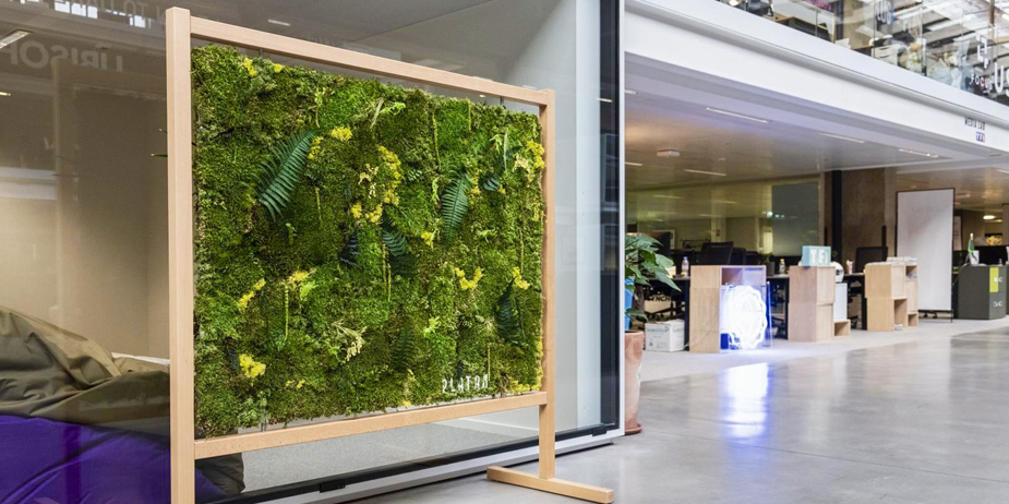 photo-platan-installation