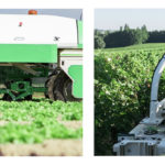 Photo des robots agricoles Naïo Technologies