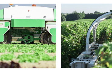 Photo des robots agricoles Naïo Technologies