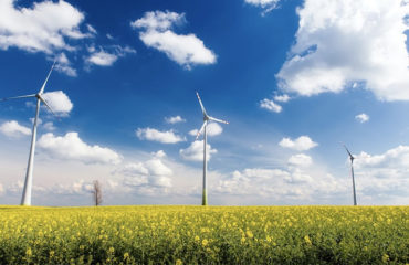 Photo de l'entreprise Wattvalue représentant des éoliennes