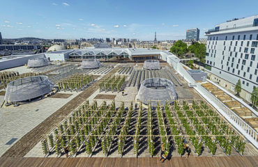 Corporate photo Agripolis, urban agriculture