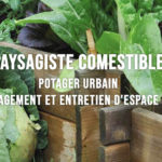 Photo de l'entreprise Green Vallée, paysagiste comestible au service de votre potager urbain