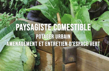 Photo de l'entreprise Green Vallée, paysagiste comestible au service de votre potager urbain