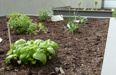 Photo de l'entreprise O Bio Potager, création et entretien de potagers