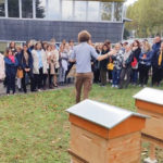 Photo de l'entreprise Beecity, location et installation de ruche en entreprise