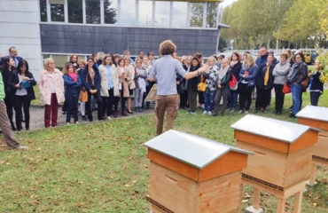 Photo of the company Beecity, rental and installation of hives in business