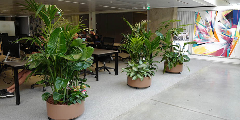 plantez-respirez-photo