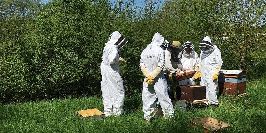 Photo de l'entreprise Cheptel, installation de ruche en entreprise