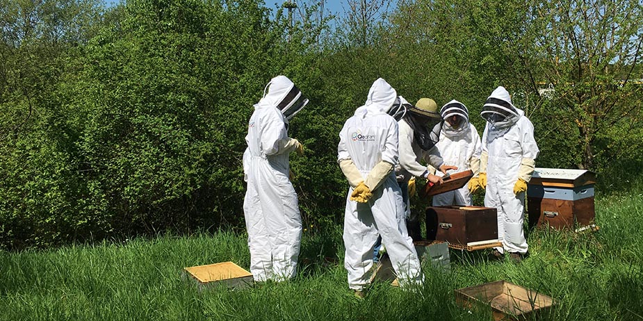 Photo of the company Livestock, hive installation in company