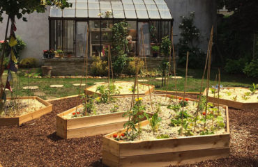 Company photo Place Au Terreau, vegetable garden in company