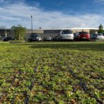 photo de l'entreprise ECOVEGATAL spécialiste de la végétalisation des parkings