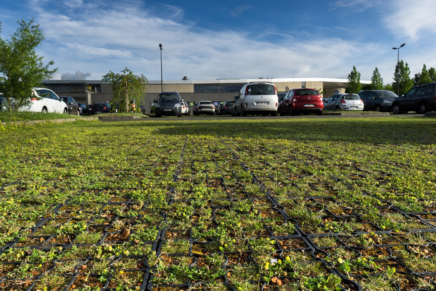 41_BLOIS_Centre-aquatique_Mousses-4