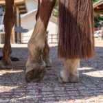 photo de l'entreprise ECOVEGATAL solutions de la stabilisation de sols