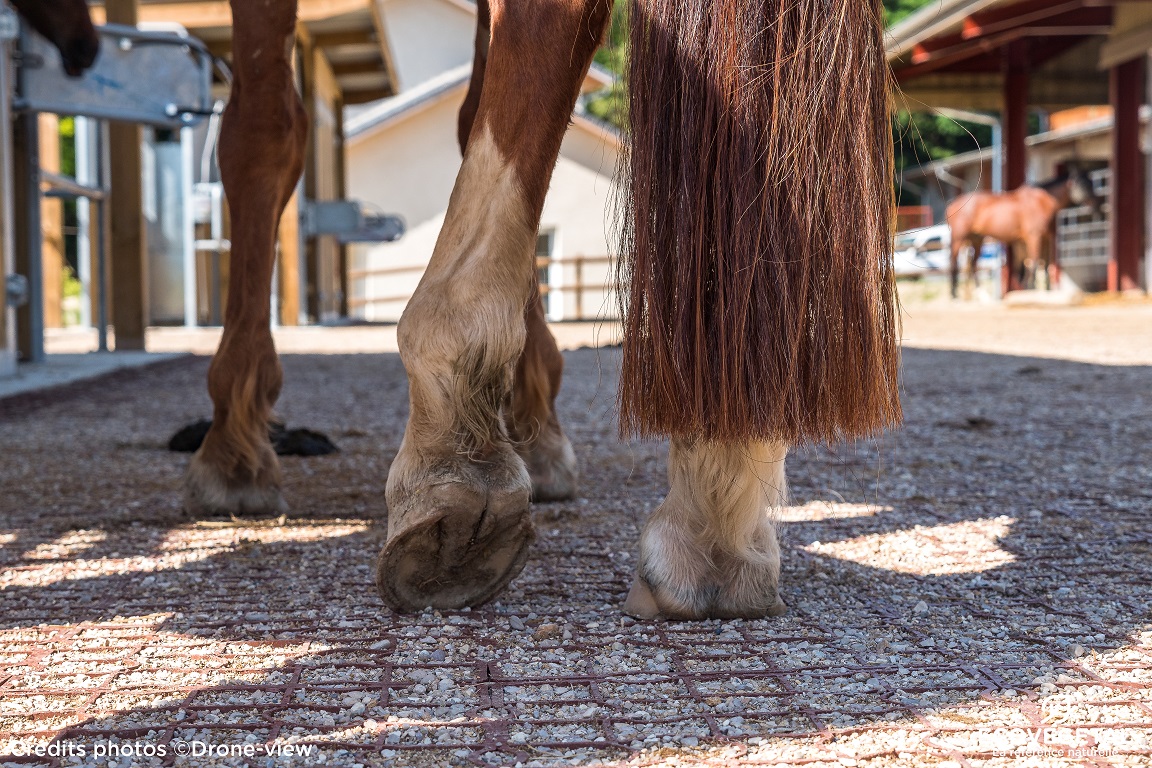 74_ST-MARTIN-BELLEVUE_LOVARDIAFS-16