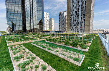 company photo ECOVEGATAL green roof solution