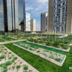 photo de l'entreprise ECOVEGATAL solution de toiture végétal