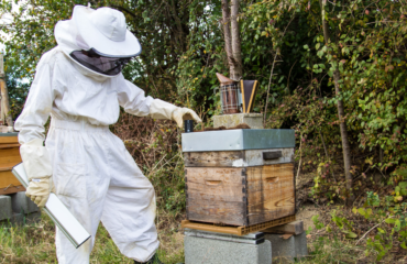 photo of the company BeeGuard, specialist in connected hives