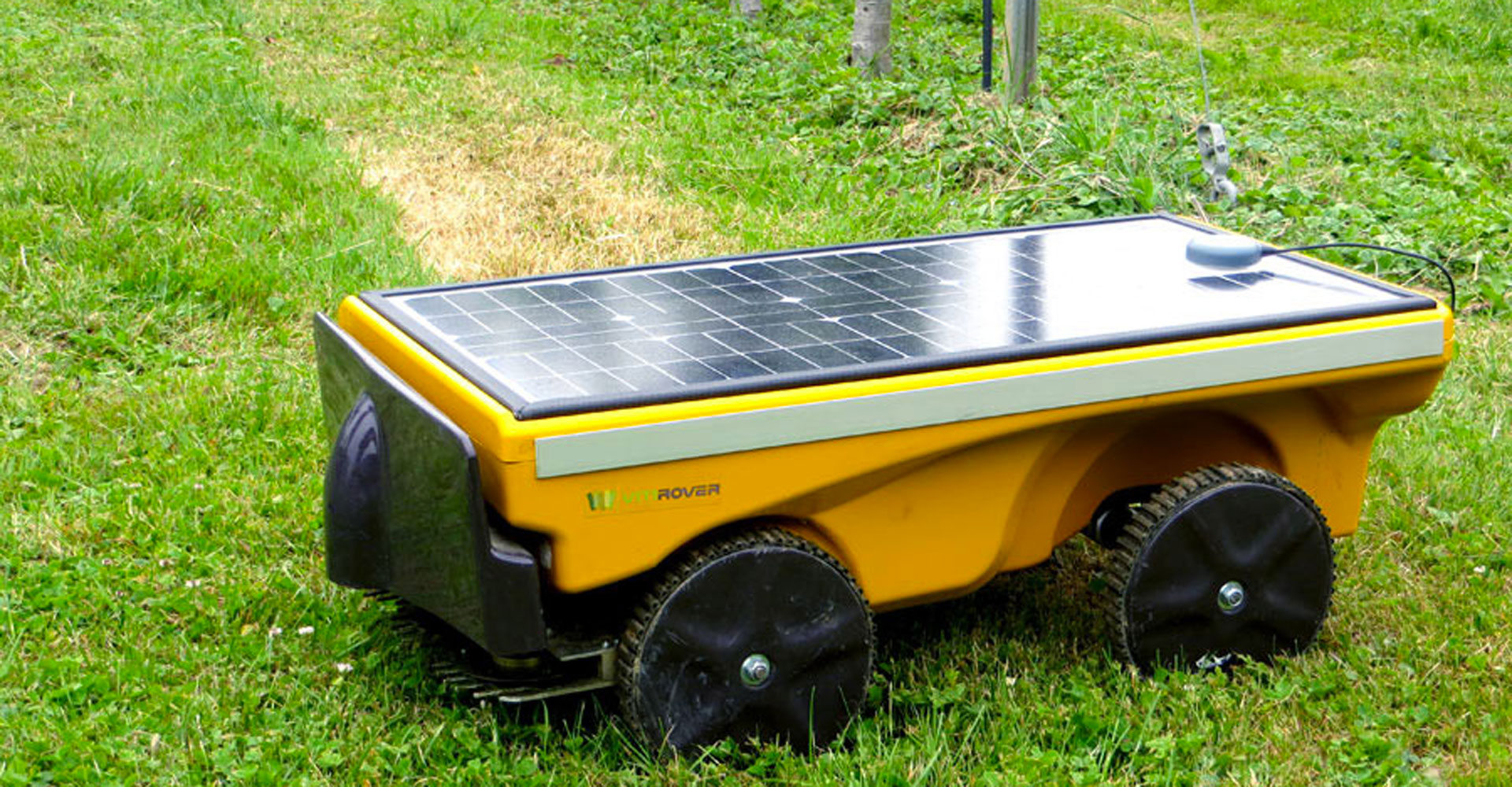 Photo de l'entreprise Vitirover, contrôle enherbement Robot Tondeur
