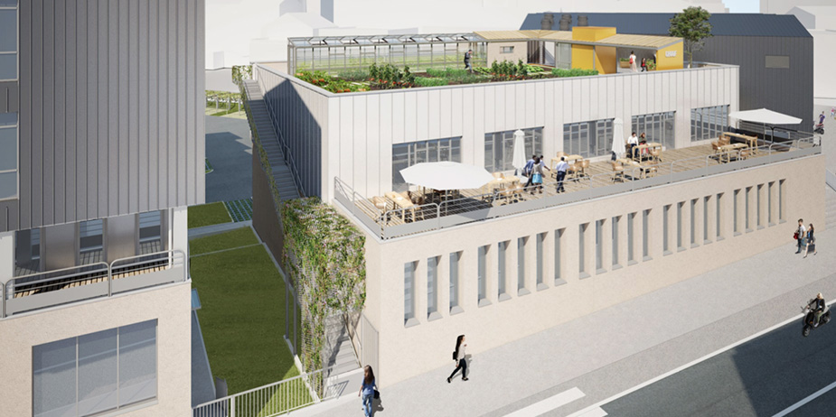 le-grand-romanesco-photo