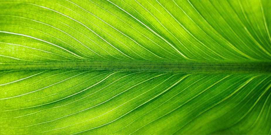 photo-theodore-catry