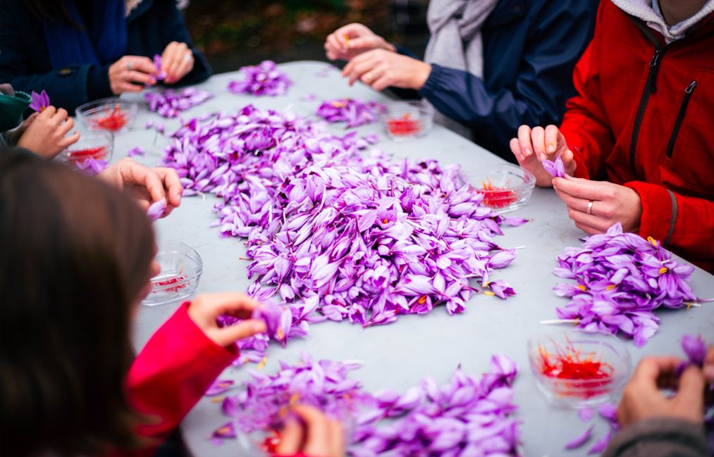 Capture-d’écran-2021-03-04-à-14.21.03