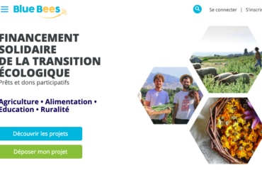 Photo de l'etreprise BlueBees, financement participatif de la transition écologique