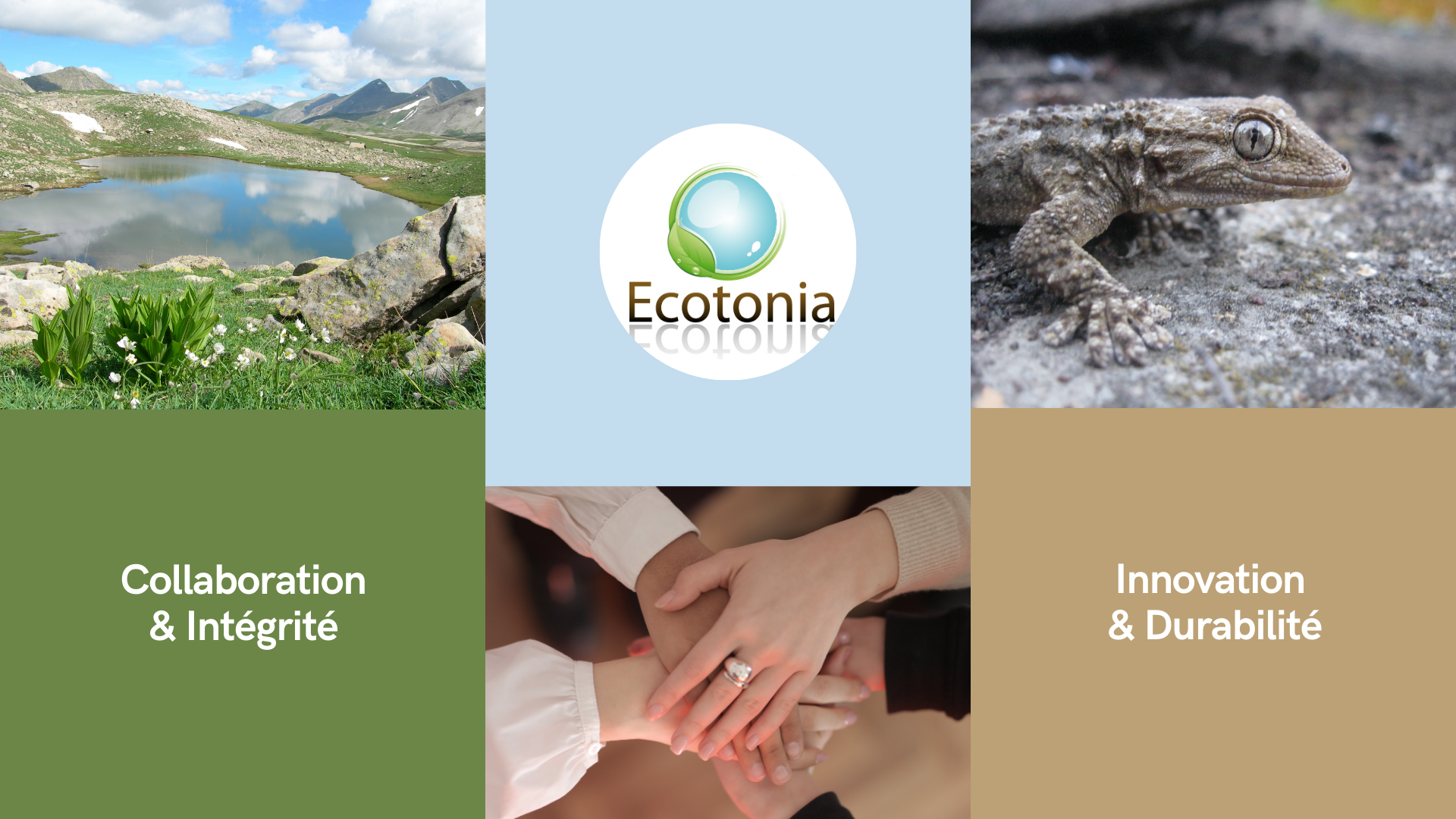 Ecotonia_Bureaux-détudes