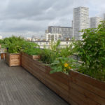 Photo de l'entreprise Bactop, jardinière de plantation