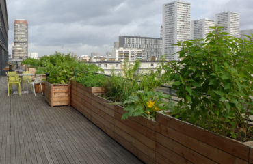 Photo de l'entreprise Bactop, jardinière de plantation