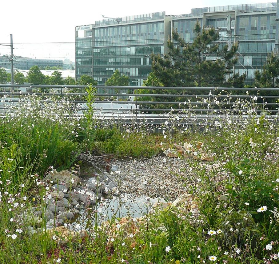 Fiche-Solution_BiodiversiTop