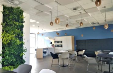 Photo of the company Green Prospect, greening of workspaces