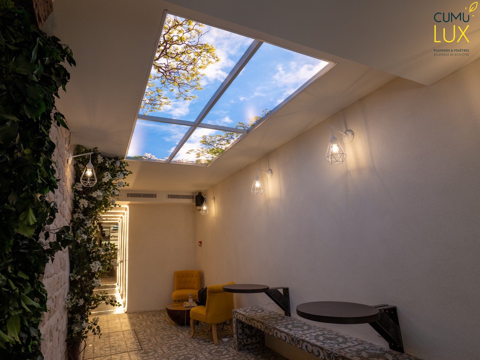 Ivy-Tapas-Bar-Ciel-Circadien