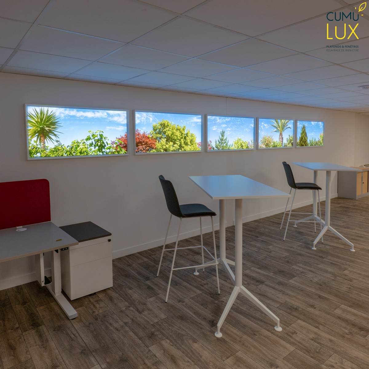 LNE-5-fenetres-lumineuses-Cumulux