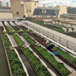 Photo de l'entreprise Farmroof, agro-écologie urbaine sur les toits