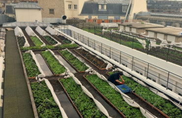 Photo de l'entreprise Farmroof, agro-écologie urbaine sur les toits
