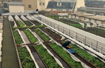 Business photo Farmroof, urban agro-ecology on rooftops