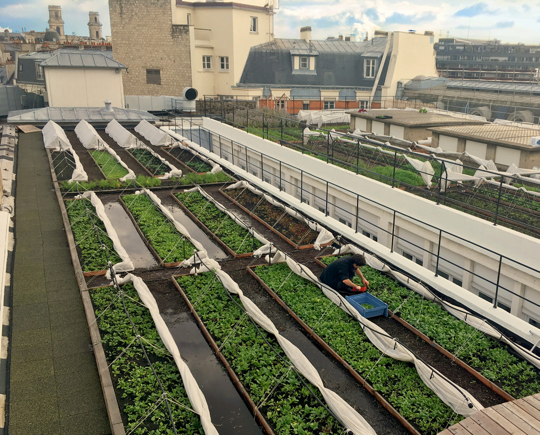 TOPAGER_PLAQUETTE_Farmroof